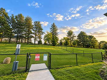 Bark park